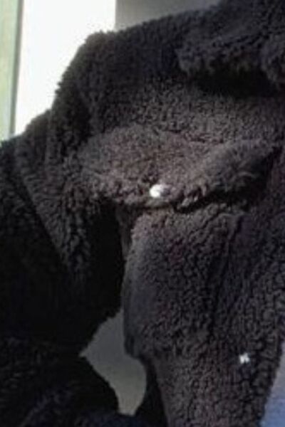 Teddy Cropped Jacket